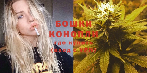 твердый Дмитриев