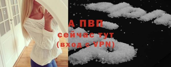 твердый Дмитриев