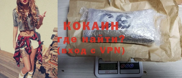 твердый Дмитриев