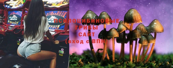 СК Тайга