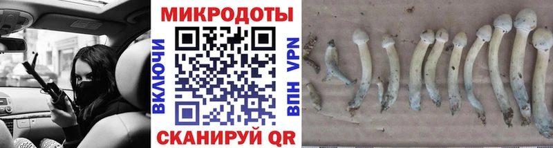 Галлюциногенные грибы мухоморы Тюкалинск